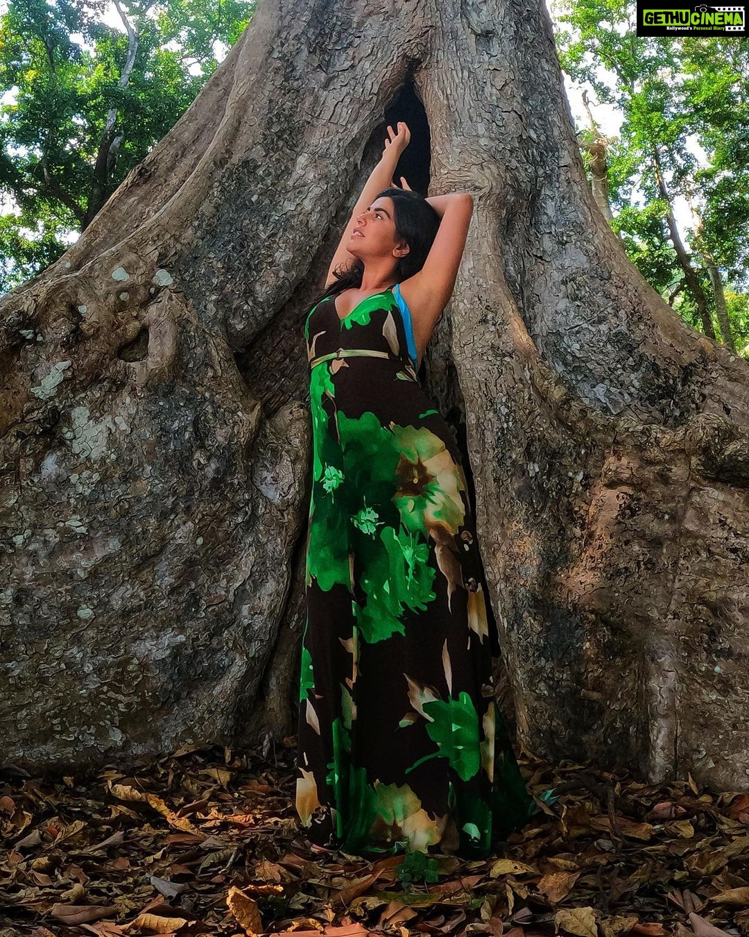 Shenaz Treasurywala Instagram - What is happening in Auroville? Progress or Politics? Are you in favour of cutting trees for progress and development??? I am NOT in favour of cutting ✂️ down trees!!! Something horrible is happening at Auroville. Please share. Let's help these people!!!! I havent been able to sleep seeing the violence at Auroville, my favourite place in india. You've seen my videos of Auroville- the way the poeple live within the trees and forests- in the thick of nature! There is nowhere in India or the world like this special place. What's most special about Auroville are the trees, the forests that I feel are sacred and blessed and this tranquil model city is being cut down to build roads!! The crown project - The way that it is being done is so awful- so much violence against the people who are protesting. Not all aurvillians are against the crown project- some are just against the way it is being done. Women are being beaten, bulldozers are cutting down trees while the people protest and chant. Some aurovillans say they are not against the project, they are against the violence. And some say - they don't want roads - they want their forests!! Killing tress is also Murder!!!! “The governing board secretary is implementing the master plan crown road without any care for trees or houses. She has the support of some aurovilians that are mafia and have called Gundas on us. But now we know this people's true intentions.' "We are all ok, no injured. Just hurt in the spirit a little” a note from one of my friend from Auroville Another friend wrote, "Don't worry , the old polarity between development and organic growth and freedom..... Some pressure from government, some internal manipulation, the anarchists opposing the strategist.....finally all necessary for essential progress and integration?" Some are against and some are for it - Another friend wrote - " How do you think Auroville will accommodate more people? By not cutting any trees?" All this is progress??? Or is this politics?? Should we cut trees for development?? I am not in favour of cutting forests. #helpauroville #auroville #protectforest #aurovilleforunity Auroville : The Future of World in India