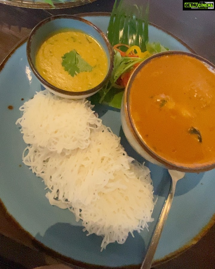 Shenaz Treasurywala Instagram - Photo dump of my weekend in Fort Kochi. It is one of my favourite places in the world. I love this little heritage town on the water with all the artsy cafés. Also Kerala cuisine is my favourite in the world. Most of all I love the trees in Fort Kochi; big tall, thick and glorious. They don’t honk as much here. The people are as sweet as the mango 🥭 payasam. Yes it’s HOT 🥵 and I was sweating like a tap all day but it was worth it. This was my third biennale. I almost didn’t make it but managed to get here on the last weekend. So happy that I did ❤️ I love you Fort Kochi. This is one of the few places in India I could make my home despite the heat and the mosquitoes;) ❤️🙏🏾🥵😎🦟 P.S. I always stay at The Brunton Boatyard Hotel when I visit Fort Kochi. Not only is it the most sustainable hotel (CGH Earth group @cghearth is all eco friendly and truly sustainable) but it’s also the prettiest. It’s a sea facing property and my favourite thing to do is to just lounge in the pool and look out at huge cargo ships 🚢 sailing by. @bruntonboatyard_cghearth ( reel to follow)