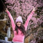 Shenaz Treasurywala Instagram - What is a wish that your parents have that you wanna make a reality?? My mom has only asked me for one thing - she said take me to Japan to see the Cherry Blossoms. 🌸🌸 So I was waiting for the right time ⏱to take her there but in the meanwhile I have discovered that you don't have to go all the way to Japan to see Cherry Blossoms. 🌸They are right here, in India, in Shillong Meghalaya!!! 😃 So I am bringing my parents here to see the Cherry Blossoms :))🌸🌸 Will take her to Japan too, hopefully soon!!!! #cherryblossom #cherryblossomseason #winterlove #travelwithshenaz