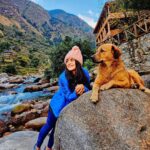 Shenaz Treasurywala Instagram - We are - in a relationship 😂😍 Who has been your friend and guide recently?? This was me, all set to run Travathon in my @asicsindia outfit and trail running shoes! Mr Gabbar ran the entire trail with me with his bare paws 🐾 and bushy tail guiding me the whole way. #travelwithshenaz #SoundMindSoundBody #travathon #shenaztribe Tirthan