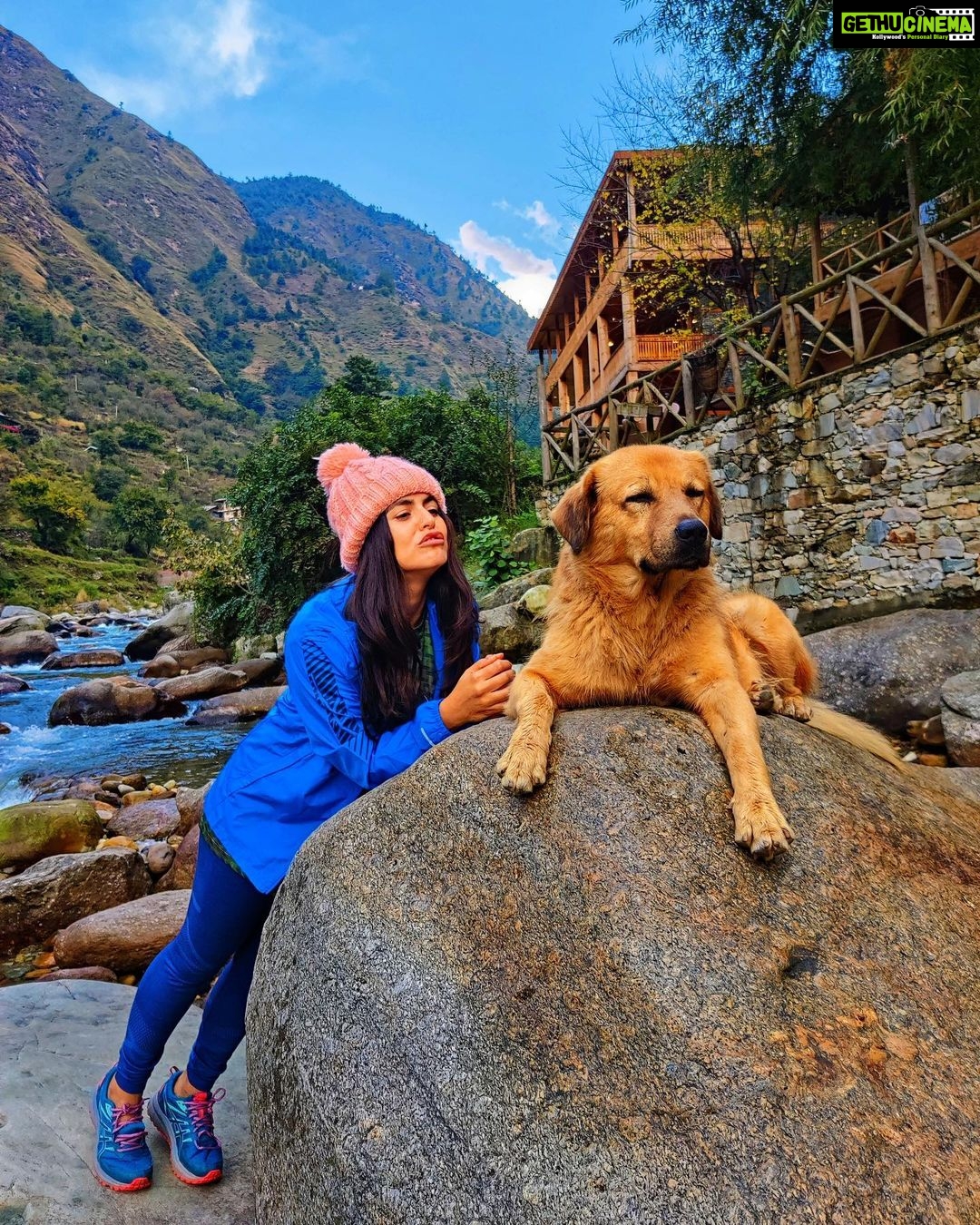 Shenaz Treasurywala Instagram - We are - in a relationship 😂😍 Who has been your friend and guide recently?? This was me, all set to run Travathon in my @asicsindia outfit and trail running shoes! Mr Gabbar ran the entire trail with me with his bare paws 🐾 and bushy tail guiding me the whole way. #travelwithshenaz #SoundMindSoundBody #travathon #shenaztribe Tirthan