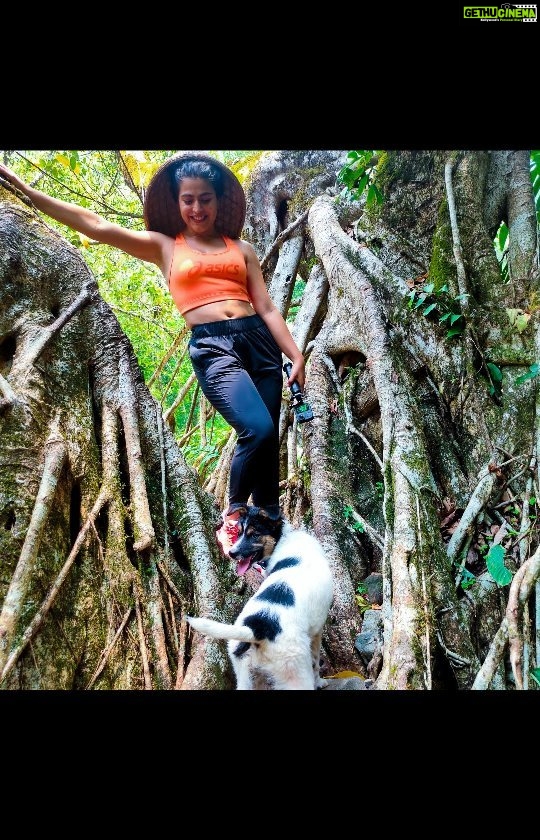 Shenaz Treasurywala Instagram - Yes it's my birthday today!! And I feel proud to say even though this year was really hard I saw so much of my country- one step at a time. The highlight being the double decker root bridges of Nongriat Meghalaya. These bridges have been on my bucket list for so long and I really wanted to complete it before my 2021 birthday 🎉 Climbing down these 3200 steps wasn't easy but the excitement to reach the destination kept me going and I got there one step at a time. Since my last birthday I covered- Himachal Punjab Andamans Meghalaya Sikkim And finally today I'm in Kashmir ❣️ What a year!!! #livingrootbridge #doubledeckerbridge #meghalaya #incredibleindia