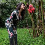 Shenaz Treasurywala Instagram - It's monsoon and nature is blooming!!! I want to know YOU ❣️ Answer any one - 1. What bollywood song comes to your mind in the rains? 2. What's your favourite snack in the rains? 3. Do you prefer long walks or long drives in the rain? 4. Can anyone tell me the name of this flower please? 5. Happy Father's day. My daddy taught me to love flowers. The tightest slap he ever gave me was for plucking a flower 🌺 He used to take pics of flowers and bees when we were kids and project the pics on a wall and make us watch them. He taught me to respect nature and trees and flowers . That they had feelings just like us. Thank you daddy!!! What valuable lesson has your dad taught you? #travelwithshenaz #monsoon #naturelovers #natureromance