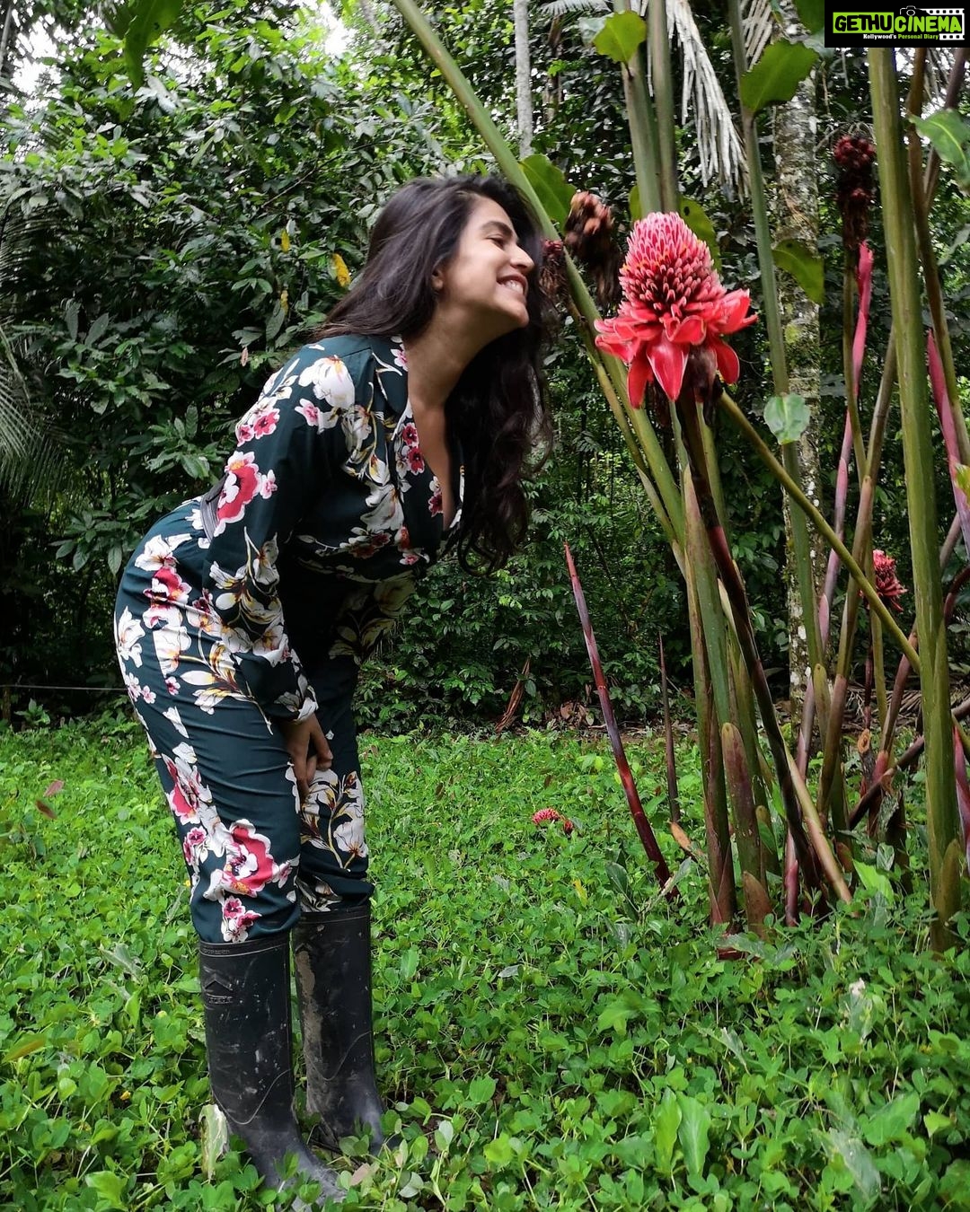 Shenaz Treasurywala Instagram - It's monsoon and nature is blooming!!! I want to know YOU ❣️ Answer any one - 1. What bollywood song comes to your mind in the rains? 2. What's your favourite snack in the rains? 3. Do you prefer long walks or long drives in the rain? 4. Can anyone tell me the name of this flower please? 5. Happy Father's day. My daddy taught me to love flowers. The tightest slap he ever gave me was for plucking a flower 🌺 He used to take pics of flowers and bees when we were kids and project the pics on a wall and make us watch them. He taught me to respect nature and trees and flowers . That they had feelings just like us. Thank you daddy!!! What valuable lesson has your dad taught you? #travelwithshenaz #monsoon #naturelovers #natureromance