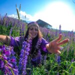 Shenaz Treasurywala Instagram - WHAT IS SOMETHING THAT MOST PEOPLE LEARN ONLY AFTER IT’S TOO LATE? I learnt - Time passes faster than you can imagine and I should enjoy the simple pleasures and stop to smel the flowers! This is the Lupin flower- Not lavender :) People say go to Gulmarg in the winter to see the snow. I suggest go to Gulmarg now to see these purple flowers 💜 Outfit by @tul_palav Pictures taken by me ofcourse🤣 how's my selfie w the flowers game?? @goproindia #gulmarg #kashmir #travelwithshenaz #uniquetravels Gulmarg, Kashmir