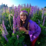 Shenaz Treasurywala Instagram - WHAT IS SOMETHING THAT MOST PEOPLE LEARN ONLY AFTER IT’S TOO LATE? I learnt - Time passes faster than you can imagine and I should enjoy the simple pleasures and stop to smel the flowers! This is the Lupin flower- Not lavender :) People say go to Gulmarg in the winter to see the snow. I suggest go to Gulmarg now to see these purple flowers 💜 Outfit by @tul_palav Pictures taken by me ofcourse🤣 how's my selfie w the flowers game?? @goproindia #gulmarg #kashmir #travelwithshenaz #uniquetravels Gulmarg, Kashmir