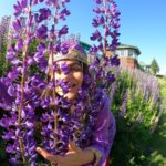 Shenaz Treasurywala Instagram - WHAT IS SOMETHING THAT MOST PEOPLE LEARN ONLY AFTER IT’S TOO LATE? I learnt - Time passes faster than you can imagine and I should enjoy the simple pleasures and stop to smel the flowers! This is the Lupin flower- Not lavender :) People say go to Gulmarg in the winter to see the snow. I suggest go to Gulmarg now to see these purple flowers 💜 Outfit by @tul_palav Pictures taken by me ofcourse🤣 how's my selfie w the flowers game?? @goproindia #gulmarg #kashmir #travelwithshenaz #uniquetravels Gulmarg, Kashmir