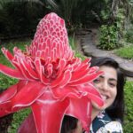 Shenaz Treasurywala Instagram - It's monsoon and nature is blooming!!! I want to know YOU ❣️ Answer any one - 1. What bollywood song comes to your mind in the rains? 2. What's your favourite snack in the rains? 3. Do you prefer long walks or long drives in the rain? 4. Can anyone tell me the name of this flower please? 5. Happy Father's day. My daddy taught me to love flowers. The tightest slap he ever gave me was for plucking a flower 🌺 He used to take pics of flowers and bees when we were kids and project the pics on a wall and make us watch them. He taught me to respect nature and trees and flowers . That they had feelings just like us. Thank you daddy!!! What valuable lesson has your dad taught you? #travelwithshenaz #monsoon #naturelovers #natureromance