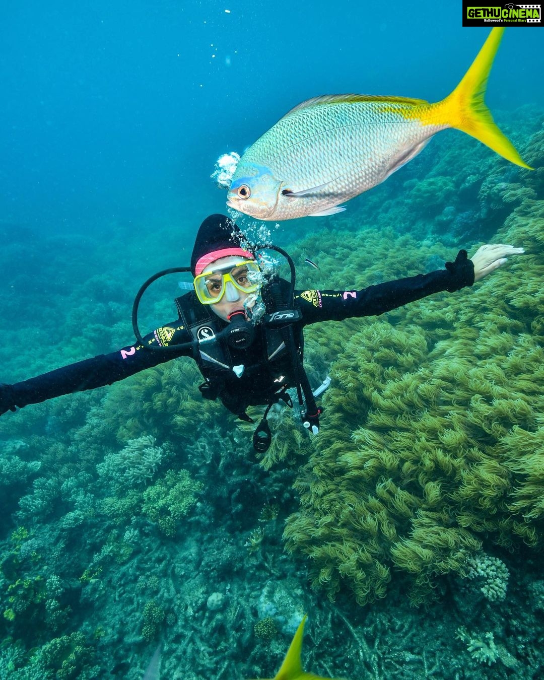 Shenaz Treasurywala Instagram - This is the best Sunday I ever had. Snorkeling, scuba diving and helicoptering all in one day at The Great Barrier Reef! How could it get any better? The colors of the coral was so shiny and bright and beautiful. Every-time I go diving I feel, this is what heaven must look like. I swam with turtles, sharks and hundreds of other fish but for me the coral 🪸 and the colours were the highlight. What a day! What an adventure 😍 I feel so blessed. I hope you’re having a good Sunday too. @queensland #thisisqueensland @sunloverreefcruises thanks @underwater_images for taking my picture.