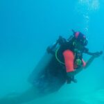 Shenaz Treasurywala Instagram - Name one thing that makes you forget about your phone and not care to check it?? When do you go offline?? Keep watching the Andaman videos and leaving comments as one lucky winner 🏆 will go to the Andamans to scuba 🤿 that's my giveaway to you!! ❤️ Thanks @high_hat19 and @row_row for shooting . Can't wait to see you again!!! ❤️ Also @barefootscuba_ and @scubalov.in ❤️❤️ thank you!!!!🏆 Thanksss @janelovestowander for booking me here This is the Andaman islands and just one little glimpse of the beauty underwater. It's a whole new world under there. A world way more colorful than above water. #travelwithshenaz #travelhotelsmiles #GoPro #goproindia