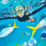 Shenaz Treasurywala Instagram - This is the best Sunday I ever had. Snorkeling, scuba diving and helicoptering all in one day at The Great Barrier Reef! How could it get any better? The colors of the coral was so shiny and bright and beautiful. Every-time I go diving I feel, this is what heaven must look like. I swam with turtles, sharks and hundreds of other fish but for me the coral 🪸 and the colours were the highlight. What a day! What an adventure 😍 I feel so blessed. I hope you’re having a good Sunday too. @queensland #thisisqueensland @sunloverreefcruises thanks @underwater_images for taking my picture.