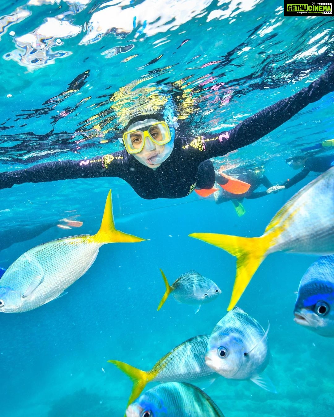 Shenaz Treasurywala Instagram - This is the best Sunday I ever had. Snorkeling, scuba diving and helicoptering all in one day at The Great Barrier Reef! How could it get any better? The colors of the coral was so shiny and bright and beautiful. Every-time I go diving I feel, this is what heaven must look like. I swam with turtles, sharks and hundreds of other fish but for me the coral 🪸 and the colours were the highlight. What a day! What an adventure 😍 I feel so blessed. I hope you’re having a good Sunday too. @queensland #thisisqueensland @sunloverreefcruises thanks @underwater_images for taking my picture.