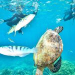 Shenaz Treasurywala Instagram - This is the best Sunday I ever had. Snorkeling, scuba diving and helicoptering all in one day at The Great Barrier Reef! How could it get any better? The colors of the coral was so shiny and bright and beautiful. Every-time I go diving I feel, this is what heaven must look like. I swam with turtles, sharks and hundreds of other fish but for me the coral 🪸 and the colours were the highlight. What a day! What an adventure 😍 I feel so blessed. I hope you’re having a good Sunday too. @queensland #thisisqueensland @sunloverreefcruises thanks @underwater_images for taking my picture.