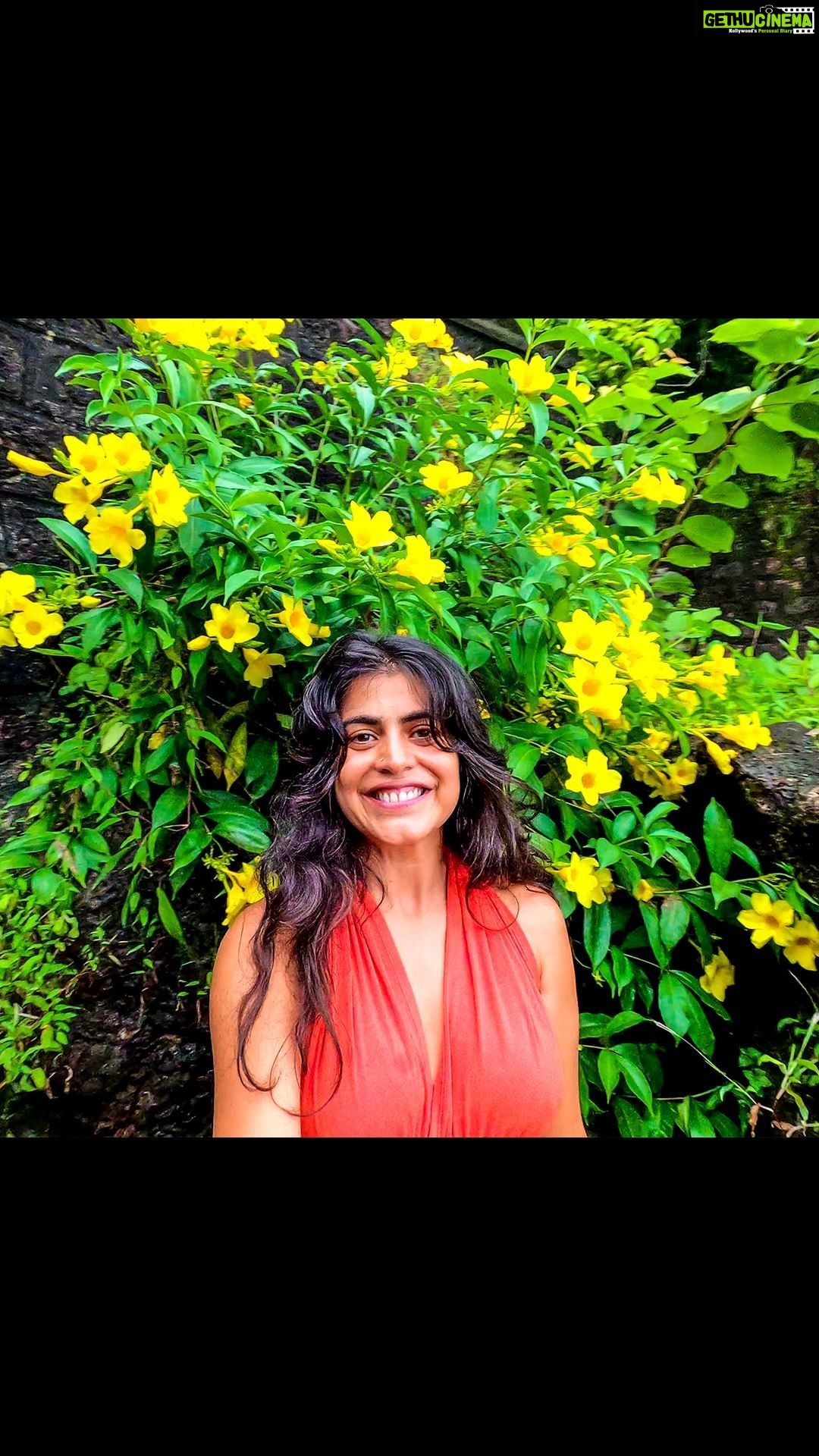 Shenaz Treasurywala Instagram - Can be a person hotel restaurant or activity. What a beautiful hidden gem this is! @forttiracolheritagehotel On the other side of Goa; the Maharashtra side of Goa. They are building an airport there now. Hope it doesn't get too crowded and lose its charm. #forttiracol #goa #goadiaries #roomview #goatourism #travelgoa #Hiddengem #maharashtratourism #maharashtra #travelwithshenaz #travelhotelsmiles #goproindia @goproindia