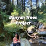 Shenaz Treasurywala Instagram - We have a dream to plant a 1000 banyan trees in the next few months in Mumbai City! Help us fulfill this dream? We want to gift 🎁 you the tree 🌳 not just any tree but a Banyan Tree!!! If you or anyone you know has Space and Sunlight- pls WhatsApp the number! And please share this video ??! Help us achieve this dream pleaseeeeeee We are tired of construction in Mumbai We want more Trees 🌳 Who is with me???? #tree #plants #banyantree #globalwarming #climatechange