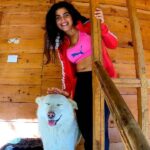 Shenaz Treasurywala Instagram - Are you ready to support small boutique homestays like this and stand with travel? Started by a sweet 26 year old Rahul from Hyderabad; this tree house is very comfortable and welcoming. They even have dormitories if you're on a budget. Who would you stay here with? @treehousejibhi This is a nice little affordable place if you're in tirthan valley The daily wagers in travel (tour guides, drivers, porters, etc) are helpless because they are usually not on salaries - they do work to make money StandWithTravel is a crowdfunding initiative where contribution made by travellers who care will reach these daily wagers to give them cash to survive today And they are more than happy to host the contributors in the future for trips with them. Support today - Your payment goes to a local travel business in a region of your choice. This cash will help them survive and support the local drivers, guides, porters, etc. Travel tomorrow - Redeem your contribution in the future and travel with the same small business you Supported. This has unlimited validity, so travel when you feel safe. LINK IN BIO @mgmotorin #MGMotorIndia #MorrisGaragesIndia #MGHector @standwithtravel #standwithtravel #GoPro #goproindia @goproindia #shenazgopro #travelwithshenaz #travelhotelsmiles #mygreatindianroadtrip