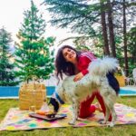 Shenaz Treasurywala Instagram – Most luxurious home stay in Himachal so far is this one @kudratboutiquehomestay.
Stunning views Fire place Warm electric blankets
Even their bathroom tiles and curtains are so tasteful.
I loved morning walks to the mountain forests from here..
Can’t wait to take my parents and go back next summer!!!!
Sudhir and Bhawana you were such great hosts ❤️
I miss your food Bhawan !!!
Give my love to Kudrat and Bullbull
I miss her!!!
The daily wagers in travel (tour guides, drivers, porters, etc) are helpless because they are usually not on salaries – they do work to make money
StandWithTravel is a crowdfunding initiative where contribution made by travellers who care will reach these daily wagers to give them cash to survive today And they are more than happy to host the contributors in the future for trips with them.
Support today –
Your payment goes to a local travel business in a region of your choice. This cash will help them survive and support the local drivers, guides, porters, etc.
Travel tomorrow –
Redeem your contribution in the future and travel with the same small business you Supported. This has unlimited validity, so travel when you feel safe.
LINK IN BIO
@mgmotorin #MGMotorIndia #MorrisGaragesIndia #MGHector
@standwithtravel #standwithtravel
#GoPro #goproindia @goproindia #shenazgopro
#travelwithshenaz #travelhotelsmiles
#mygreatindianroadtrip