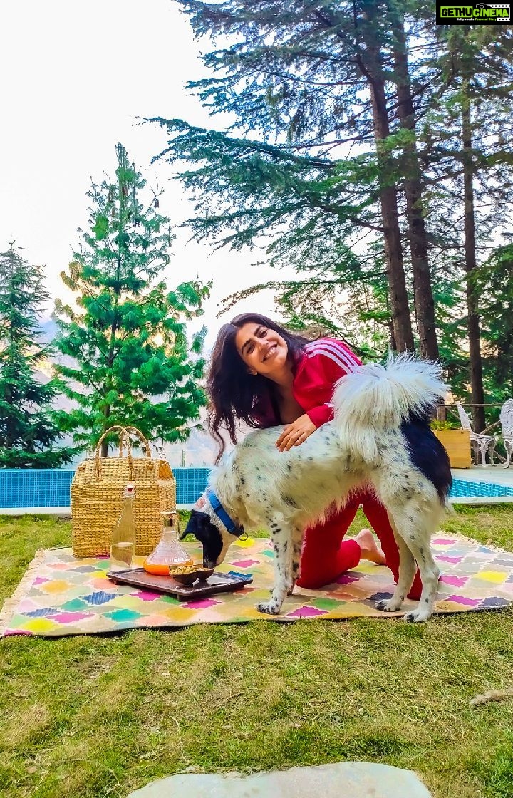 Shenaz Treasurywala Instagram - Most luxurious home stay in Himachal so far is this one @kudratboutiquehomestay. Stunning views Fire place Warm electric blankets Even their bathroom tiles and curtains are so tasteful. I loved morning walks to the mountain forests from here.. Can't wait to take my parents and go back next summer!!!! Sudhir and Bhawana you were such great hosts ❤️ I miss your food Bhawan !!! Give my love to Kudrat and Bullbull I miss her!!! The daily wagers in travel (tour guides, drivers, porters, etc) are helpless because they are usually not on salaries - they do work to make money StandWithTravel is a crowdfunding initiative where contribution made by travellers who care will reach these daily wagers to give them cash to survive today And they are more than happy to host the contributors in the future for trips with them. Support today - Your payment goes to a local travel business in a region of your choice. This cash will help them survive and support the local drivers, guides, porters, etc. Travel tomorrow - Redeem your contribution in the future and travel with the same small business you Supported. This has unlimited validity, so travel when you feel safe. LINK IN BIO @mgmotorin #MGMotorIndia #MorrisGaragesIndia #MGHector @standwithtravel #standwithtravel #GoPro #goproindia @goproindia #shenazgopro #travelwithshenaz #travelhotelsmiles #mygreatindianroadtrip