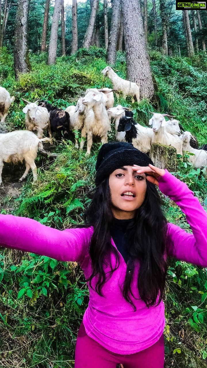 Shenaz Treasurywala Instagram - How do I call out to you? Attention please: The daily wagers in travel (tour guides, drivers, porters, etc) are helpless because they are usually not on salaries - they do work to make money StandWithTravel is a crowdfunding initiative where contribution made by travellers who care will reach these daily wagers to give them cash to survive today And they are more than happy to host the contributors in the future for trips with them. Support today - Your payment goes to a local travel business in a region of your choice. This cash will help them survive and support the local drivers, guides, porters, etc. Travel tomorrow - Redeem your contribution in the future and travel with the same small business you Supported. This has unlimited validity, so travel when you feel safe. LINK IN BIO @mgmotorin #MGMotorIndia #MorrisGaragesIndia #MGHector @standwithtravel #standwithtravel #GoPro #goproindia @goproindia #shenazgopro #travelwithshenaz #travelhotelsmiles #mygreatindianroadtrip