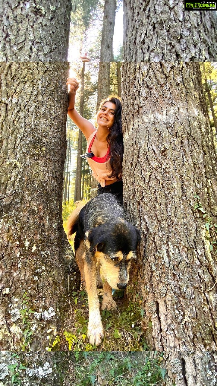 Shenaz Treasurywala Instagram - Are you into hiking? What's the best hike you've done in your life? Himachal is all about hiking and I want to climb every hill and mountain. This is Ratnari hike that I did when I stayed at @meenabaghhome homestay with Sanjay The daily wagers in travel (tour guides, drivers, porters, etc) are helpless because they are usually not on salaries - they do work to make money StandWithTravel is a crowdfunding initiative where contribution made by travellers who care will reach these daily wagers to give them cash to survive today And they are more than happy to host the contributors in the future for trips with them. Support today - Your payment goes to a local travel business in a region of your choice. This cash will help them survive and support the local drivers, guides, porters, etc. Travel tomorrow - Redeem your contribution in the future and travel with the same small business you Supported. This has unlimited validity, so travel when you feel safe. LINK IN BIO @mgmotorin @standwithtravel #standwithtravel #GoPro #goproindia @goproindia #shenazgopro #travelwithshenaz #travelhotelsmiles #mygreatindianroadtrip