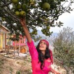 Shenaz Treasurywala Instagram – If you could pick money, good friends, amazing health or a passionate love from a tree which one would you pick? 

Right now I’m happy picking apples 🍏 off @meenabaghhomes orchid 🌳 thanks Sanjay for a lovely time and for taking these great pictures, hope to be back soon!!! 

I’m enjoying all my home stays in Himachal ❤️🙏🏾 making good friends – I think that’s my pick. #standwithtravel @standwithtravel