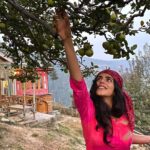 Shenaz Treasurywala Instagram – If you could pick money, good friends, amazing health or a passionate love from a tree which one would you pick?
Right now I’m happy picking apples 🍏 off @meenabaghhomes orchid 🌳 thanks Sanjay for a lovely time and for taking these great pictures, hope to be back soon!!!
I’m enjoying all my home stays in Himachal ❤️🙏🏾 making good friends – I think that’s my pick. #standwithtravel @standwithtravel
