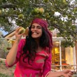 Shenaz Treasurywala Instagram – If you could pick money, good friends, amazing health or a passionate love from a tree which one would you pick?
Right now I’m happy picking apples 🍏 off @meenabaghhomes orchid 🌳 thanks Sanjay for a lovely time and for taking these great pictures, hope to be back soon!!!
I’m enjoying all my home stays in Himachal ❤️🙏🏾 making good friends – I think that’s my pick. #standwithtravel @standwithtravel
