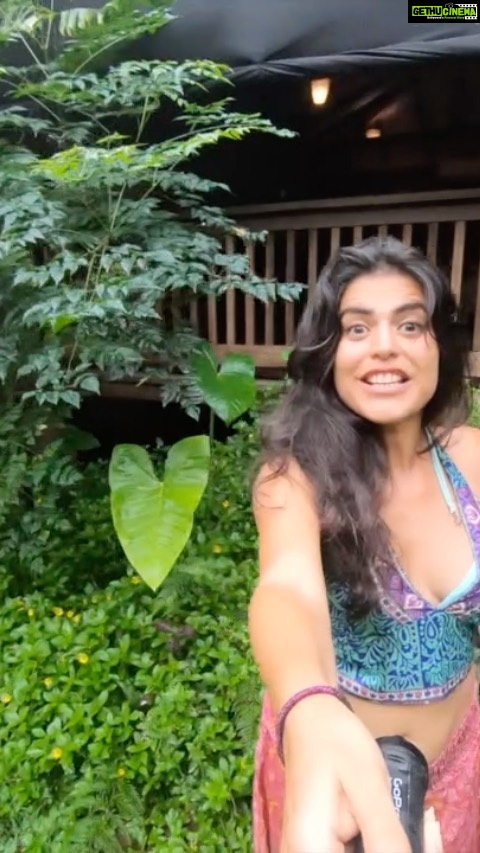 Shenaz Treasurywala Instagram - Would you like to stay in this eco friendly wooden cabin in the forests of Goa? Also what is that plant called? @mojigaogoa #travelwithshenaz #travelhotelsmiles Also remember tomorrow the #goprohero9black contests begin. Stay glued to my page for more info ❤️ and make sure you leave a comment always :) @goproindia