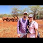 Shikha Singh Instagram - Animals are majestic & so so dam cute according to me! You all gotta visit this amazing Elephant Nursery run by Sheldrick Trust taking care of these little orphans who lost their mothers due to poachers or draughts. U can even adopt a calf and help them. Nature at its best & humans at its best ❤️ #naturelovers #nature #elephant #giraffe #animal #wild #wildlife #kenya #nairobi #sheldricktrust #giraffecentre #travel #tourism #traveller #love #live #laugh #blessed #grateful #thankyou