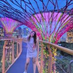 Shiny Doshi Instagram - In the right light, at the right time, everything is extraordinary ✨️ #singapore #gardensbythebay #magical #light #perspective #look #mesmerizing #beautiful #happiness #lettherebelight #shineon #shinydoshi Gardens by the Bay