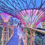 Shiny Doshi Instagram - In the right light, at the right time, everything is extraordinary ✨️ #singapore #gardensbythebay #magical #light #perspective #look #mesmerizing #beautiful #happiness #lettherebelight #shineon #shinydoshi Gardens by the Bay