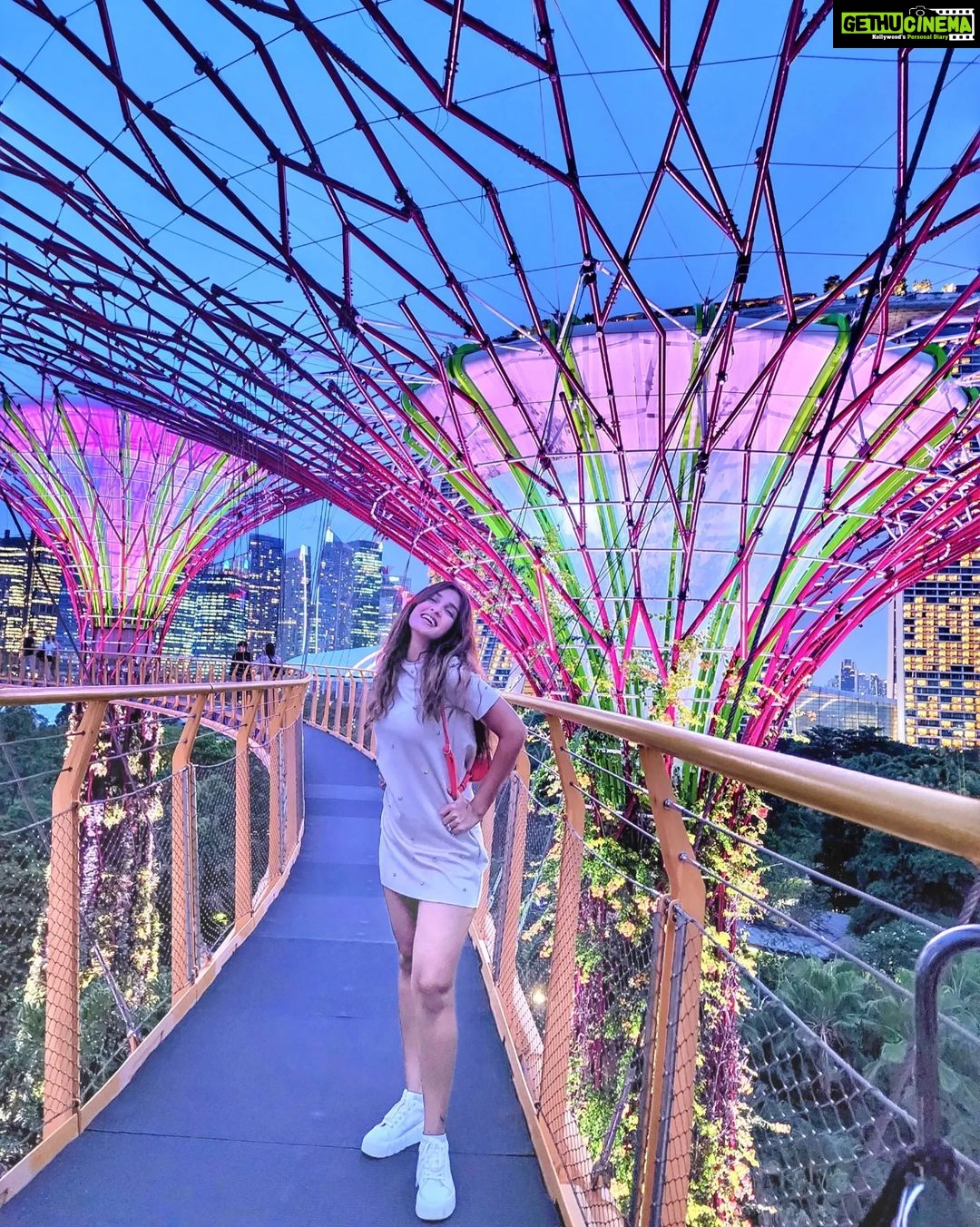 Shiny Doshi Instagram - In the right light, at the right time, everything is extraordinary ✨️ #singapore #gardensbythebay #magical #light #perspective #look #mesmerizing #beautiful #happiness #lettherebelight #shineon #shinydoshi Gardens by the Bay