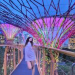 Shiny Doshi Instagram - In the right light, at the right time, everything is extraordinary ✨️ #singapore #gardensbythebay #magical #light #perspective #look #mesmerizing #beautiful #happiness #lettherebelight #shineon #shinydoshi Gardens by the Bay
