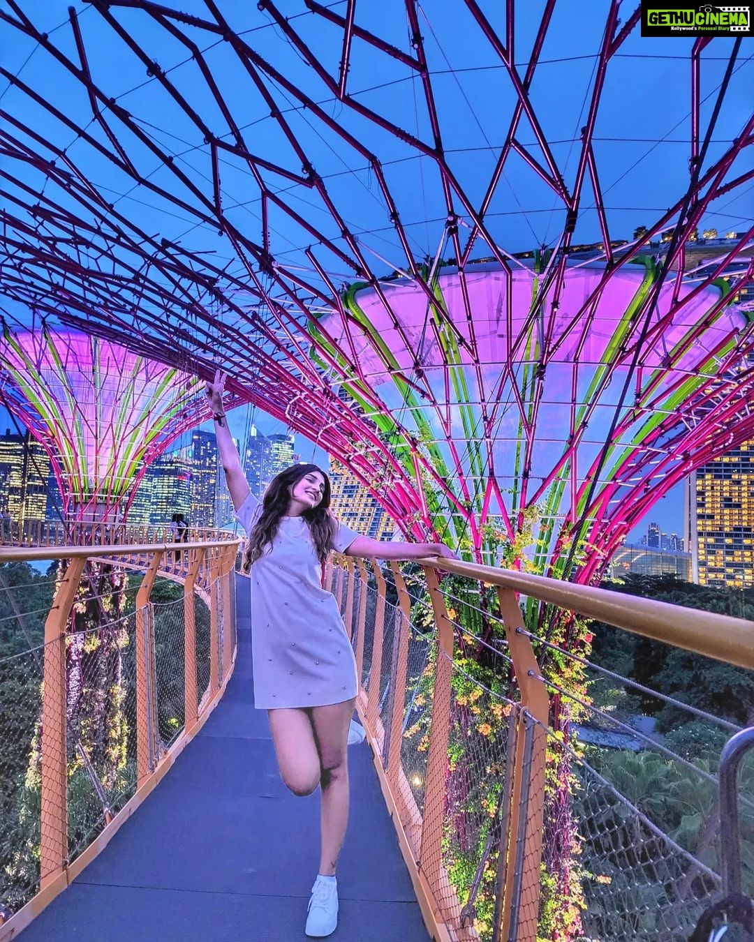 Shiny Doshi Instagram - In the right light, at the right time, everything is extraordinary ✨️ #singapore #gardensbythebay #magical #light #perspective #look #mesmerizing #beautiful #happiness #lettherebelight #shineon #shinydoshi Gardens by the Bay