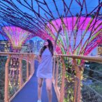 Shiny Doshi Instagram - In the right light, at the right time, everything is extraordinary ✨️ #singapore #gardensbythebay #magical #light #perspective #look #mesmerizing #beautiful #happiness #lettherebelight #shineon #shinydoshi Gardens by the Bay