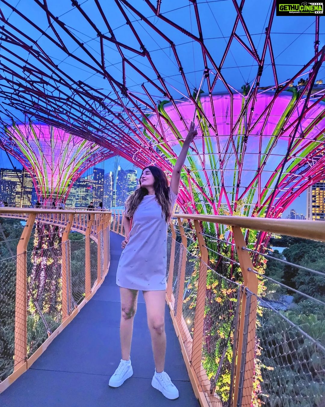 Shiny Doshi Instagram - In the right light, at the right time, everything is extraordinary ✨️ #singapore #gardensbythebay #magical #light #perspective #look #mesmerizing #beautiful #happiness #lettherebelight #shineon #shinydoshi Gardens by the Bay