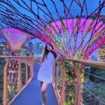 Shiny Doshi Instagram - In the right light, at the right time, everything is extraordinary ✨️ #singapore #gardensbythebay #magical #light #perspective #look #mesmerizing #beautiful #happiness #lettherebelight #shineon #shinydoshi Gardens by the Bay