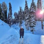 Shiny Doshi Instagram - Paradise 🌲 ❄️ . . . . . #kashmir #snow #pinetrees #sun #bluesky #winterwonderland #heavenonearth #peace #mountains #shinydoshi Visit my kashmir