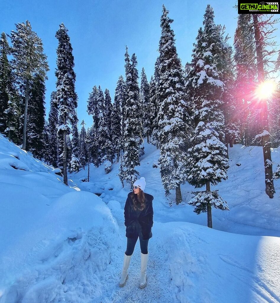 Shiny Doshi Instagram - Paradise 🌲 ❄️ . . . . . #kashmir #snow #pinetrees #sun #bluesky #winterwonderland #heavenonearth #peace #mountains #shinydoshi Visit my kashmir