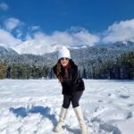 Shiny Doshi Instagram - Let it snow ❄️ #kashmir #kashmirdairies #snow #nature #beauty #peace #snowday #pinetrees #happiness #shinydoshi Visit my kashmir