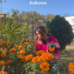 Shivani Jha Instagram - Suna yeh sound viral hai? Hai kya? 🙈 #reels #explore #trending #chandsifarish #travel #shivanijha #explorepage