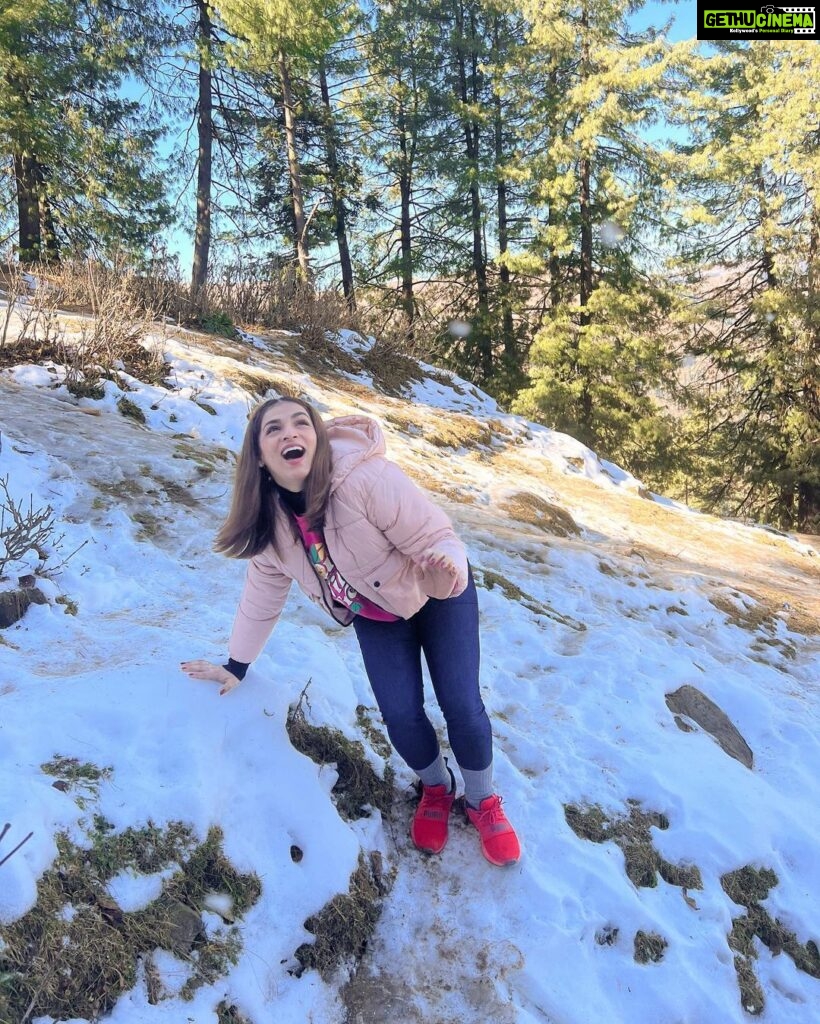 Shivani Jha Instagram - Humpty Dumpty had a great fall on snow today! Finally bachpan ka Sapna pura hua ❄️ #snowfall #jammu #nathatop #patnitop #travel #explore Jammu and Kashmir