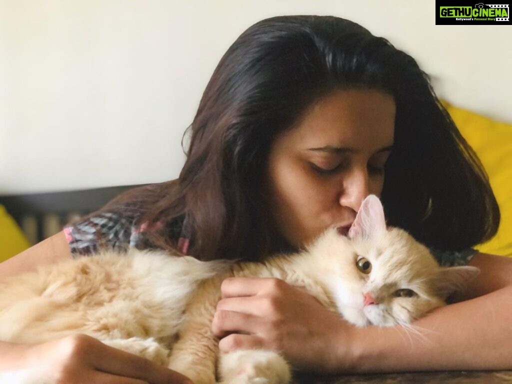 Shivani Surve Instagram - If cats could talk, they wouldn’t 🤷🏻‍♀️❣️#catsofinstagram