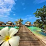Shivya Pathania Instagram – 🤌❤️🧿🇲🇻
@bandosmaldives Serenity Bandos Maldives