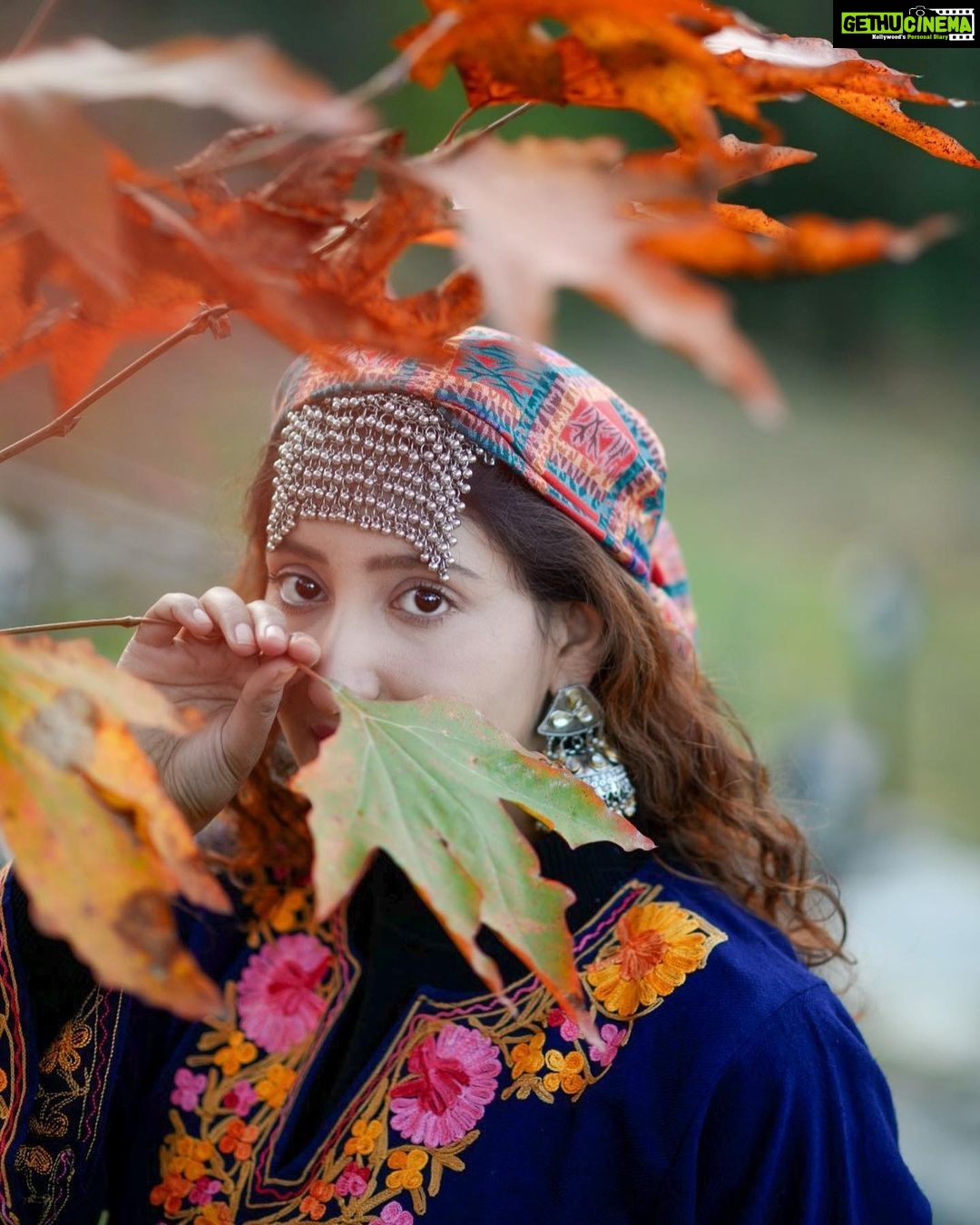 Shivya Pathania Instagram - hukus bukus telli wann che kus Moh Batuk Logum Deg Shwas Khich Khich Wang-mayam Bhruman daras Poyun chokum Tekis Takya bane Tyuk. #kashmir #kashmirilullaby #fromgodtogod #godtogod #love #shivyapathania . 📸 @vineetsharma527 @mech.pk