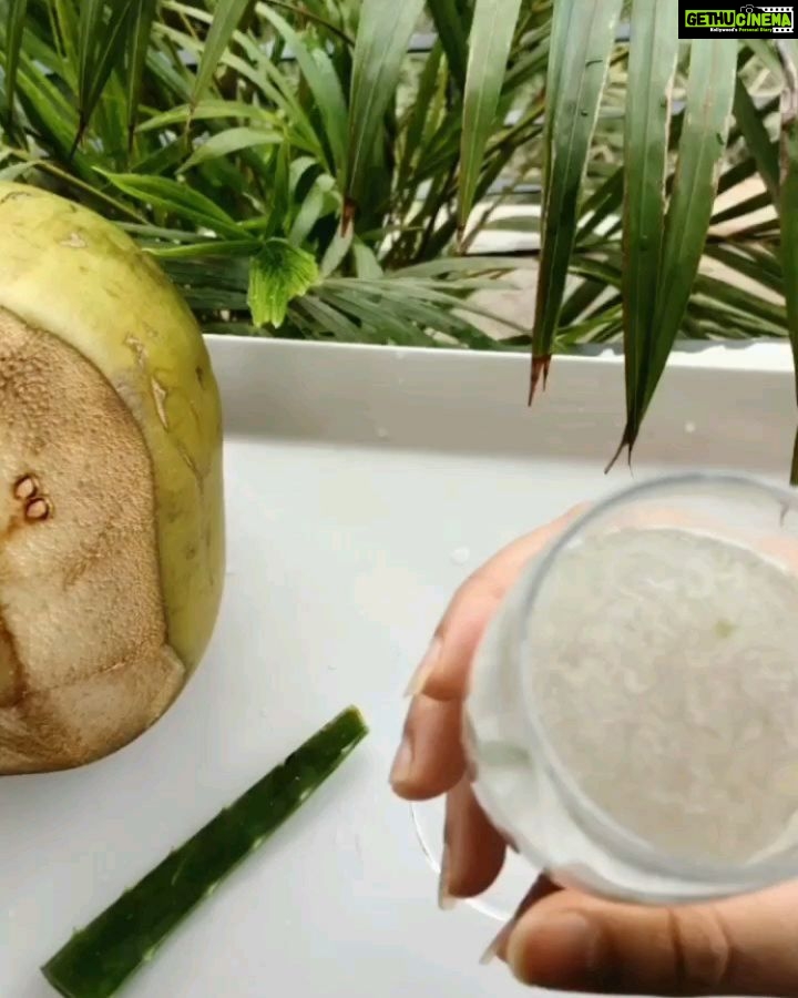 Shritama Mukherjee Instagram - It's officially summer and as you know I have a new aloe plant in my garden. So, I decided to make this aloe-coconut drink that's super easy to make, ultra cooling and oh-so-refreshing. Check out the link in my bio for the recipe (and more drinks to kick off the summer). @thegreenmavenn 🌿 #summerdrinks #summer #drinks #summervibes #drink #yummy #instagood #summertime #lemonade #drinkstagram #refreshing #mint #mocktails #homemade #refreshingdrink