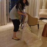 Shritama Mukherjee Instagram – Because Stella loves to play tug of war 🐶➰ And she always wins.. what energy phewwwww 🥵😅

#stellalove #dogsofinstagram #dogmom #momlife #loveher #doglove #lifeisbeautiful