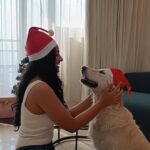 Shritama Mukherjee Instagram - It's beginning to look a lot like Christmas 🎄⛄ 🦌🎄🎅 with #Stellalove ❤️🥰 How are you prepping for Christmas?