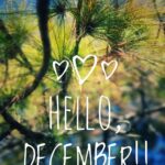 Shruti Seth Instagram - It’s December! ❄️ The best time of the year is here! 🥰 And it’s also my birthday month 💃 #happyholidays #december #timetobejolly #shruphotodiary