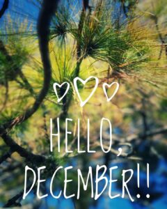 Shruti Seth Instagram - It’s December! ❄️
The best time of the year is here! 🥰
And it’s also my birthday month 💃

#happyholidays #december #timetobejolly #shruphotodiary